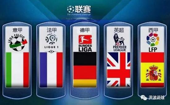 的游泳健将
